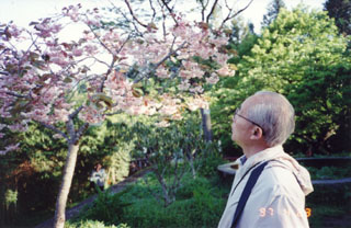 八重桜