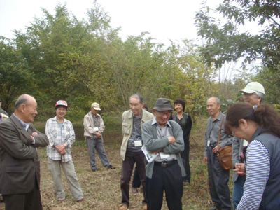 里山植林活動の現場