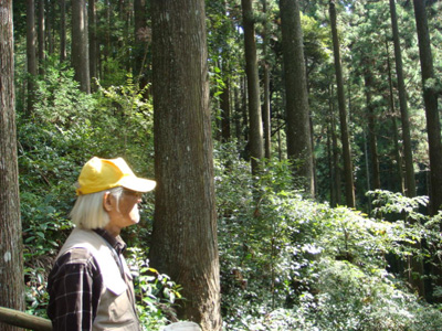 104年生スギ人工林