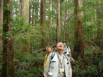 千本山国有林にて