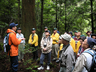 千本山国有林にて魚梁瀬森林事務所の大原氏の説明を受ける