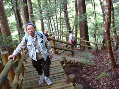 千本山国有林の木道を元気に登る参加者