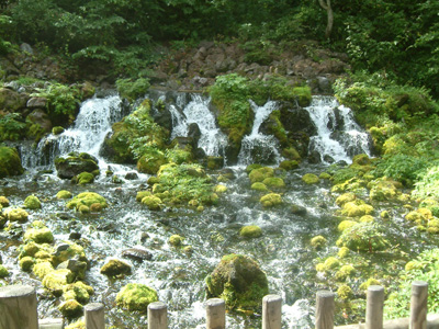 羊蹄山山麓からの湧水