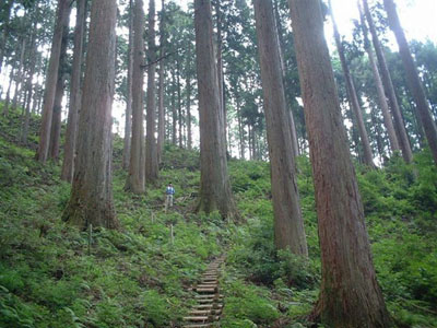 下多古山村