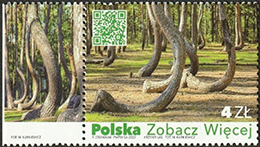 ゆがんだ森─ポーランド